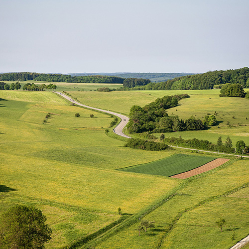 land